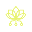 Pollinations.ai