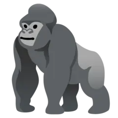 Gorilla Terminal